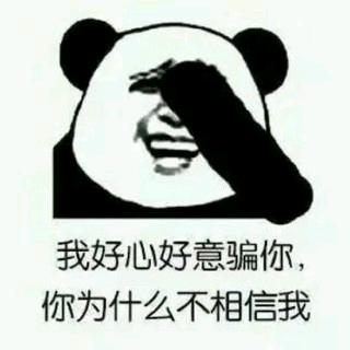 万物盛开法则头像