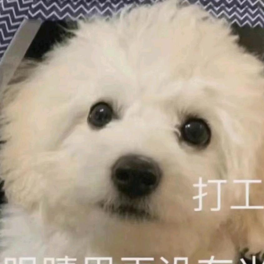 妹酱吃吃吃了吗