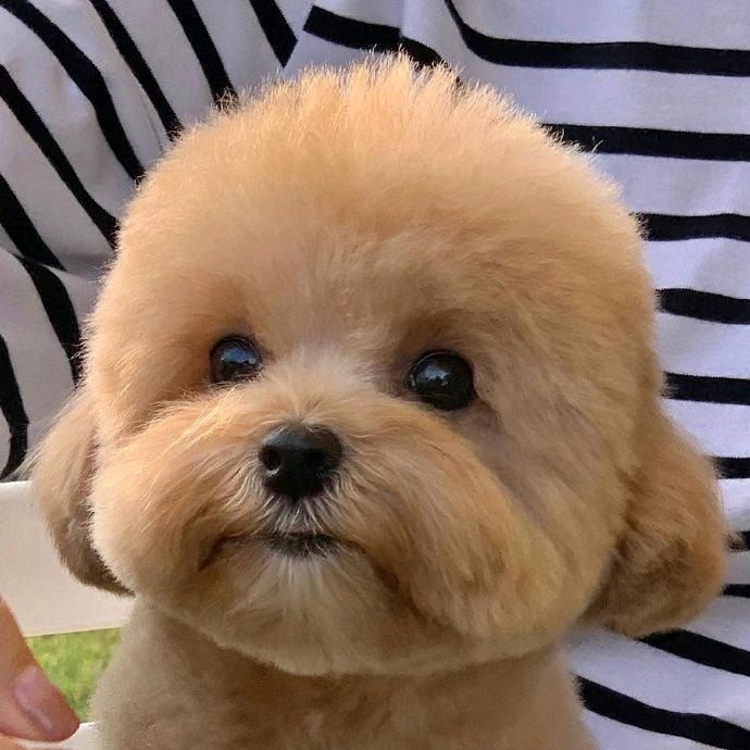 喜欢❧