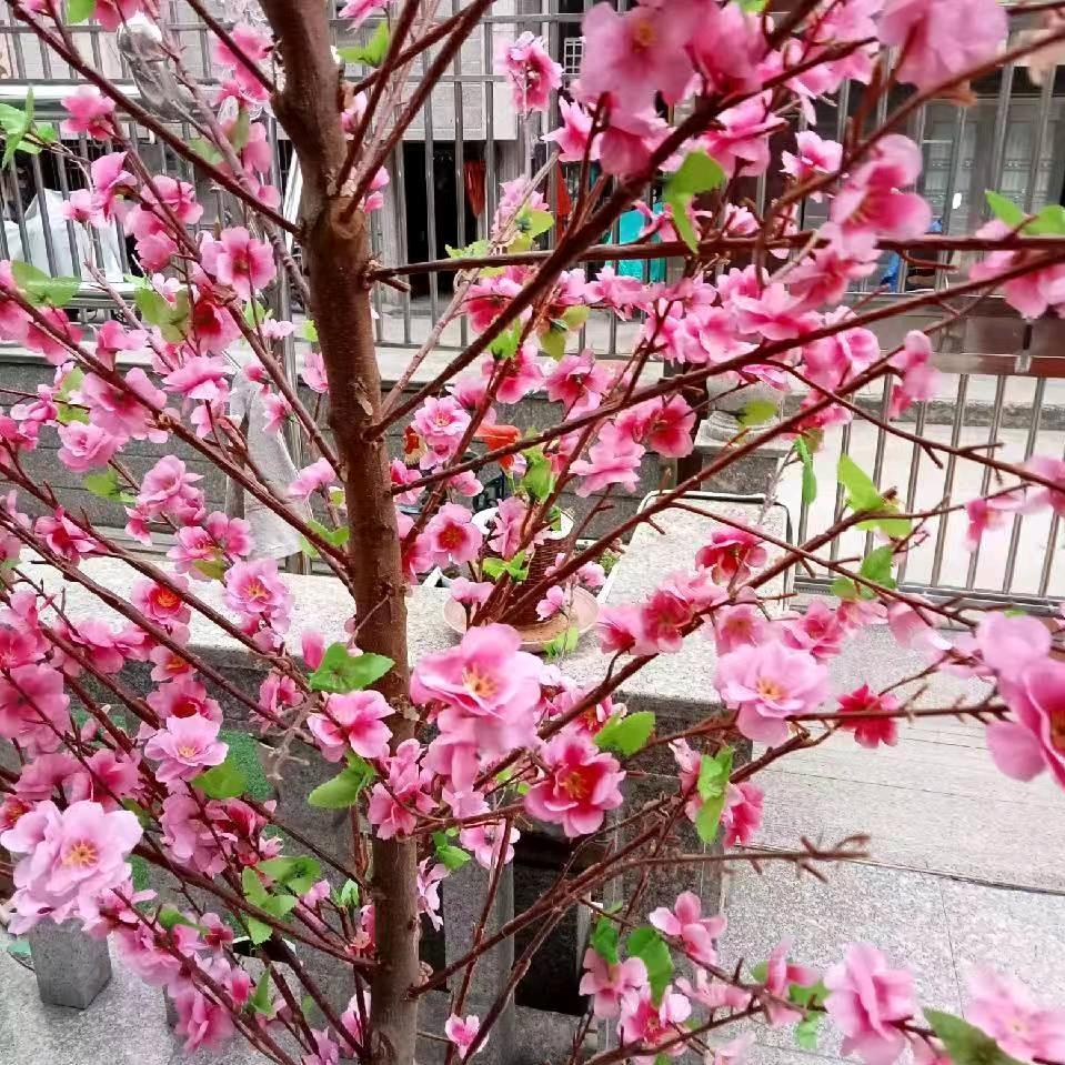 山青水绣