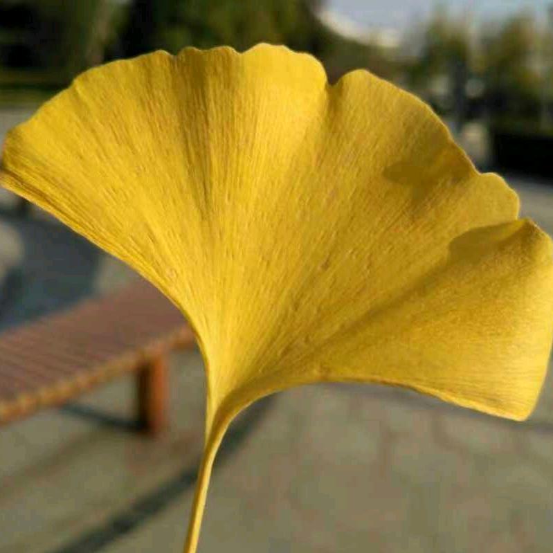 珍惜