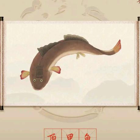 晧月之明