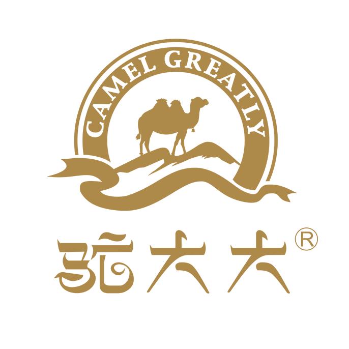驼大大企业店