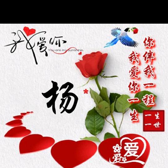 ♥(｡￫v￩｡)♥杨头像