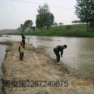 数学小视频