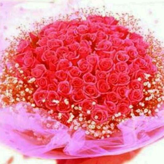 💞💃🌹云朵🌹💃💞