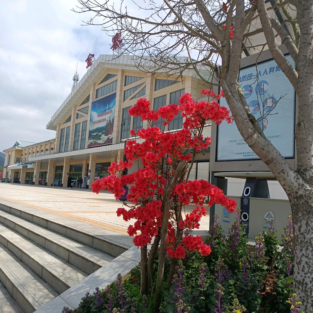 金寨公鸡哥(特色红烧公鸡锅)