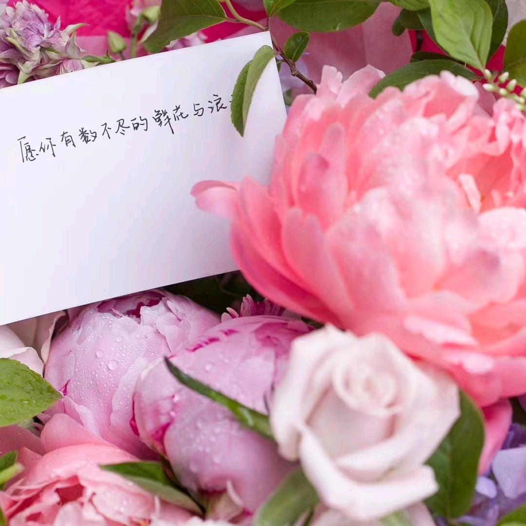 馨文news
