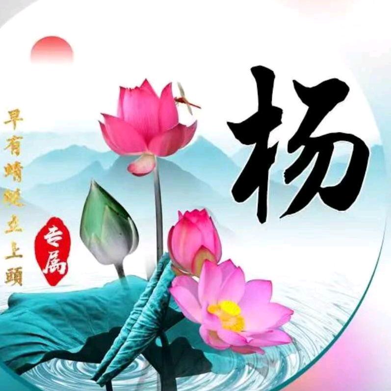 杨志晓