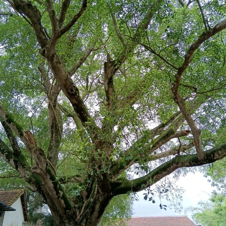 让心灵去旅游