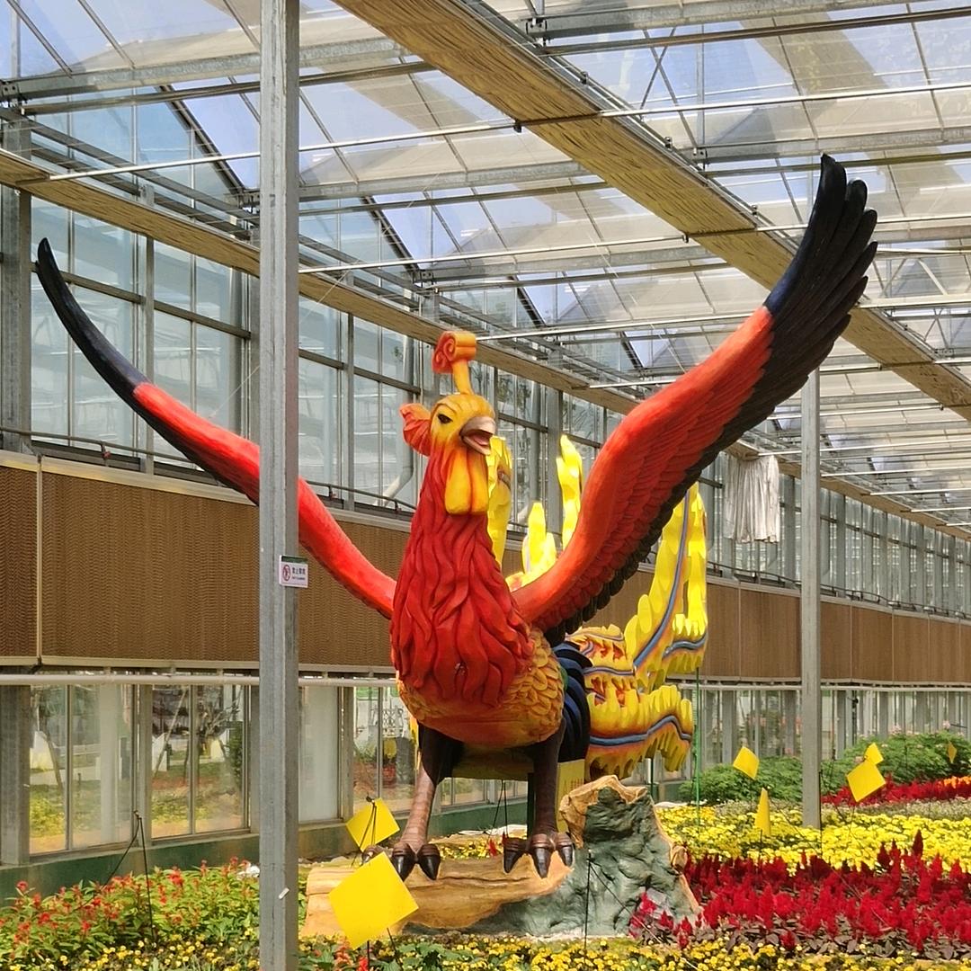 狼 哥（王者￥农药）