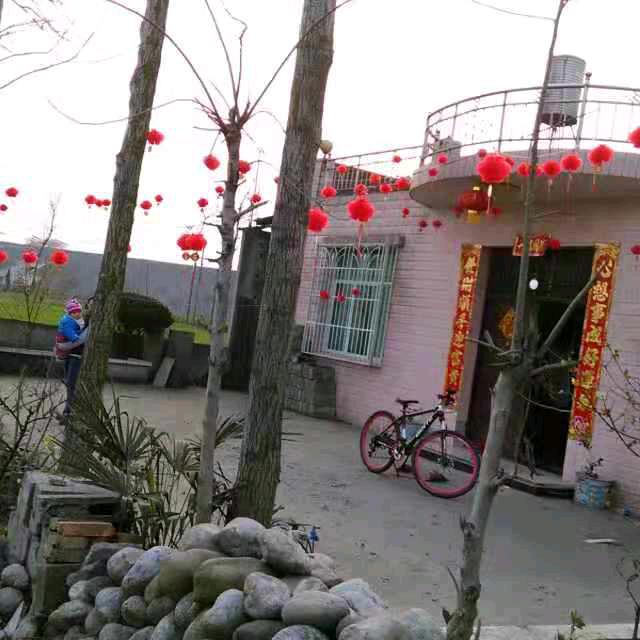 用户6559833261219