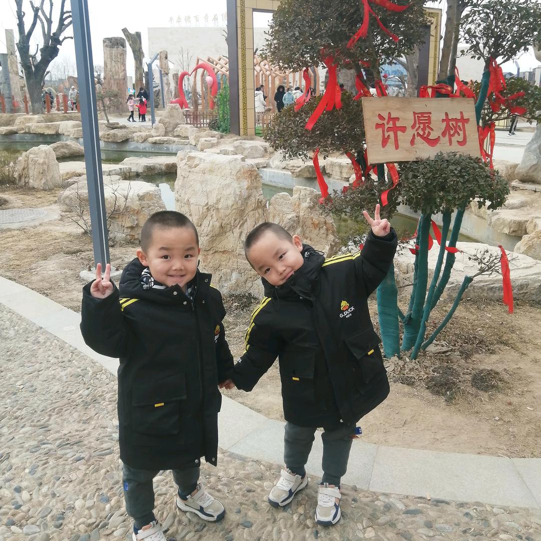 郑家 双胞胎