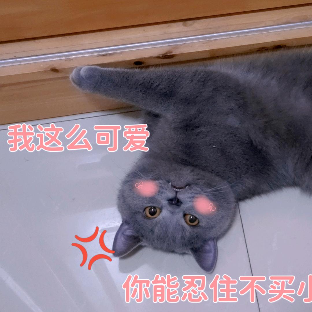 🌈蒋开心🌟