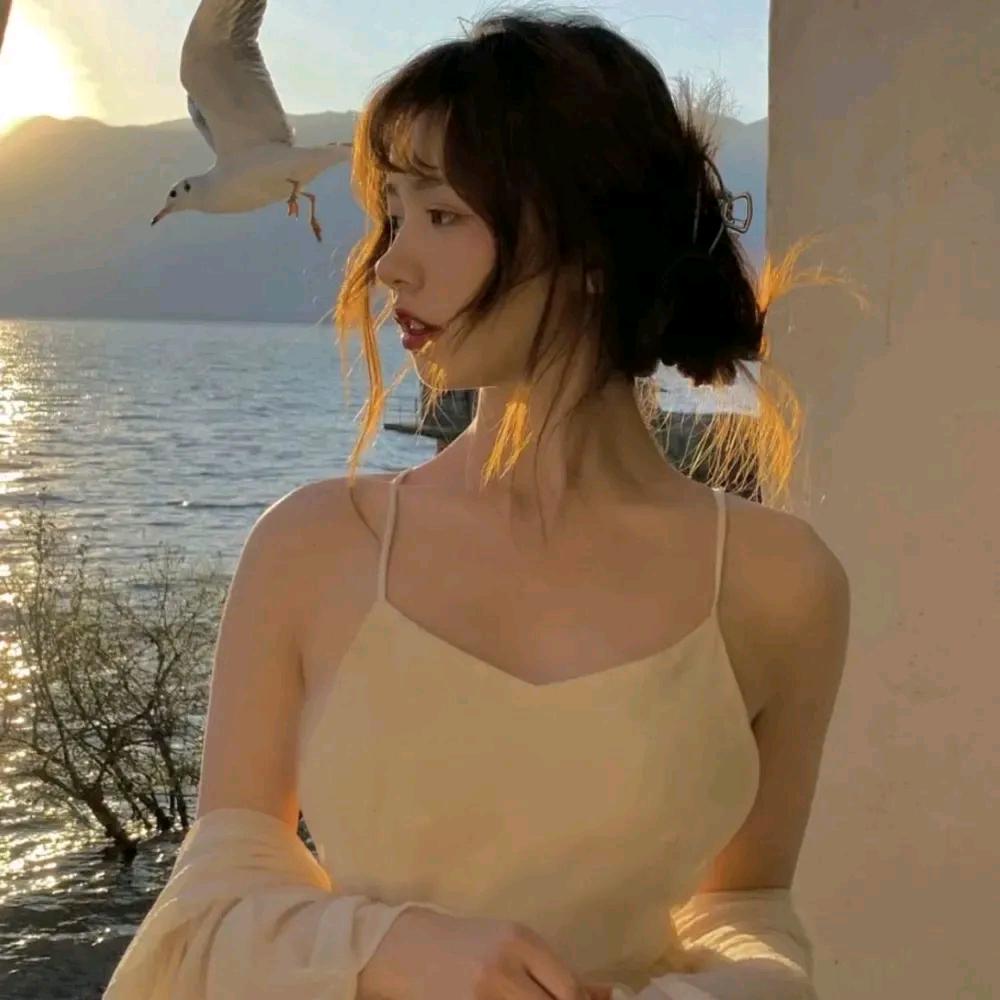 菜菜小仙女（橱窗军火）