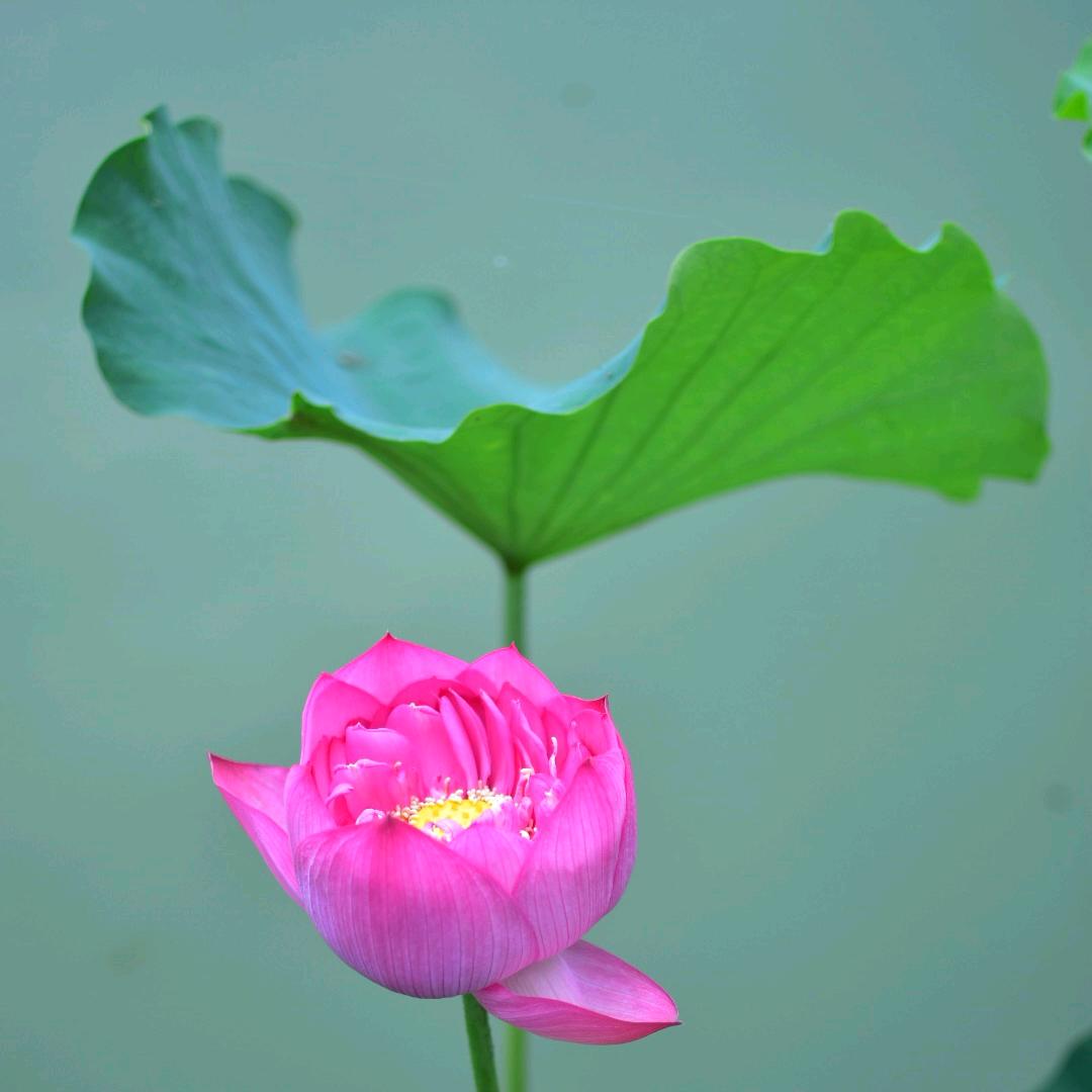 好望角