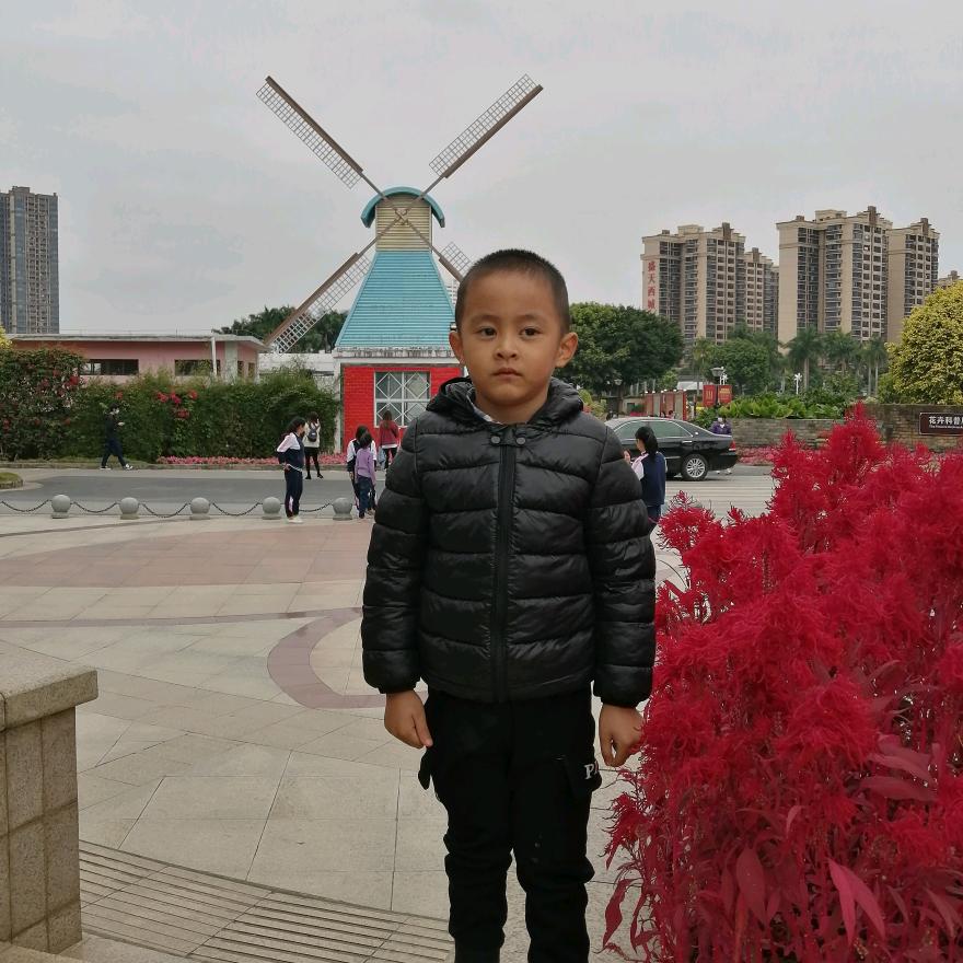 阮氏家族