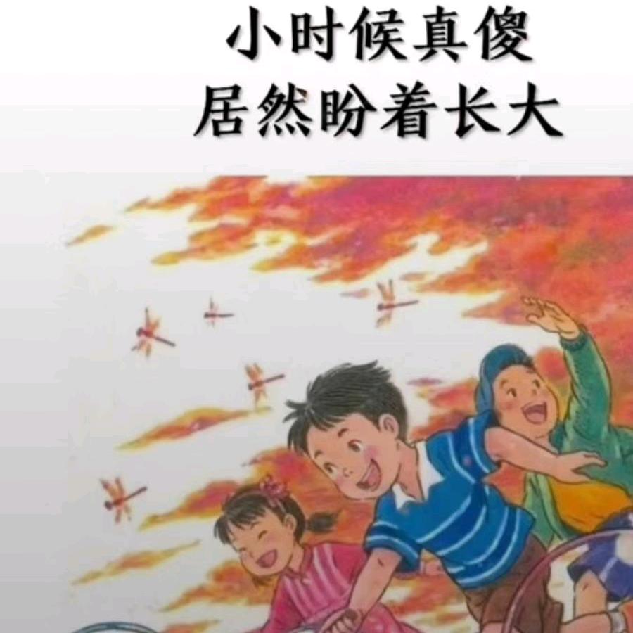 南来北往