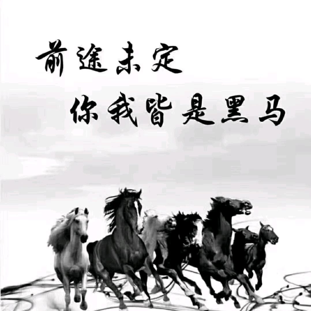 随心～小歪