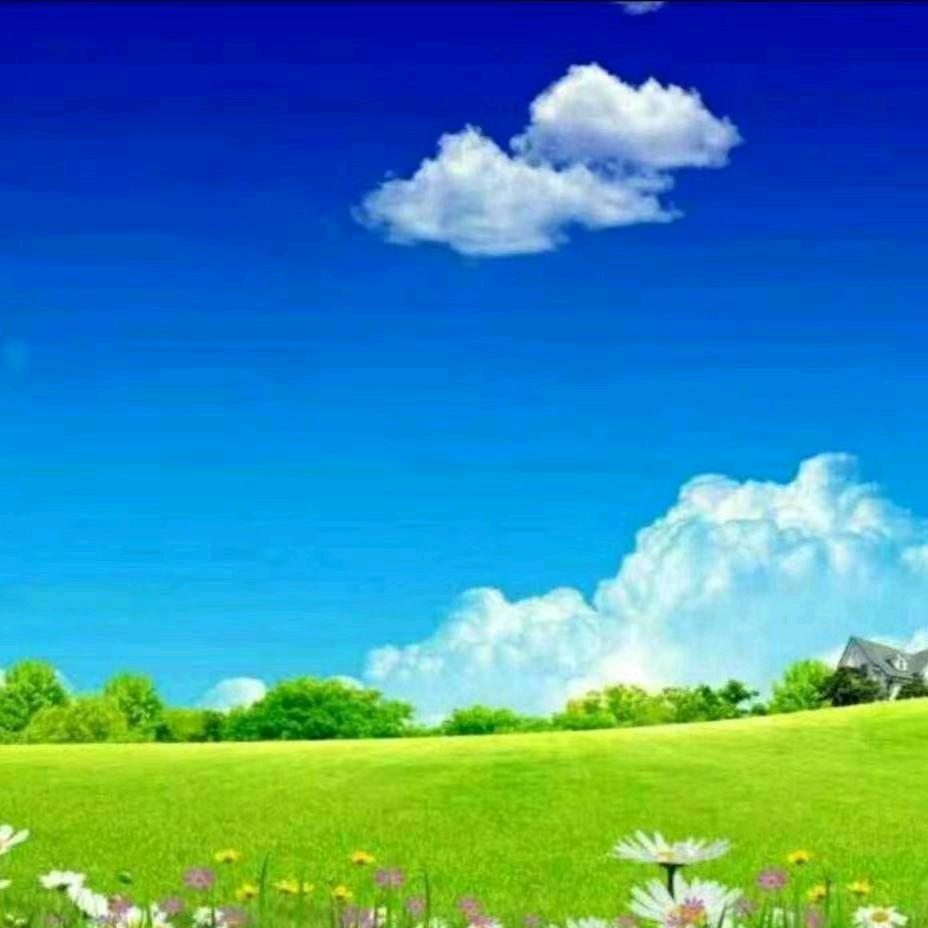 我姓刘却留不住你的心