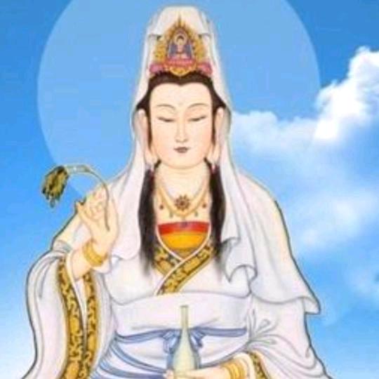 半夏未至