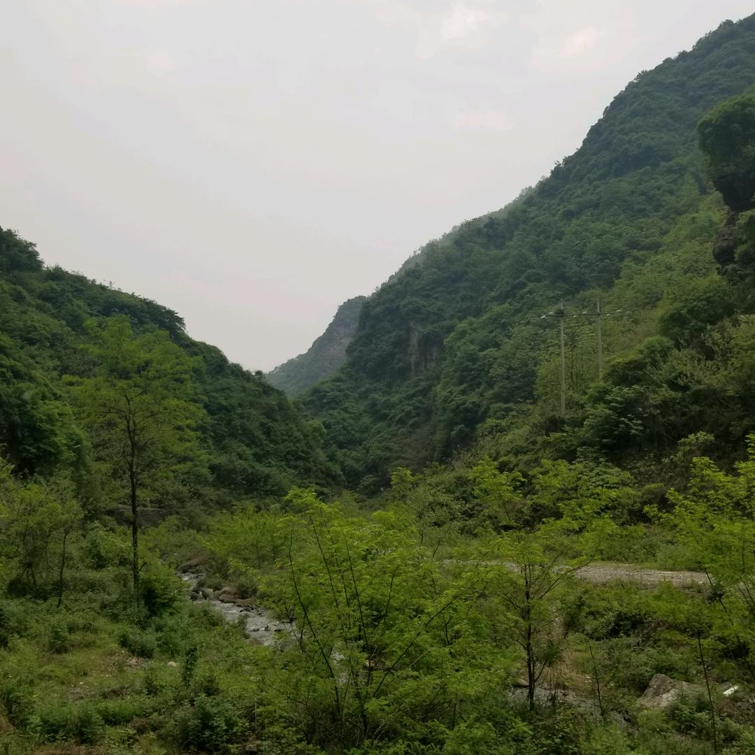 刘三枕
