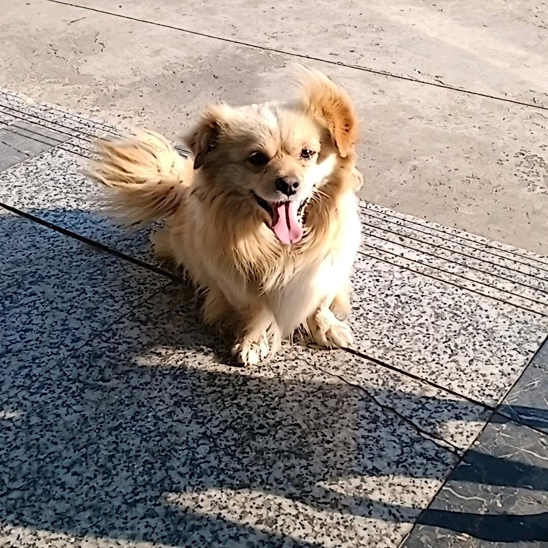 水～