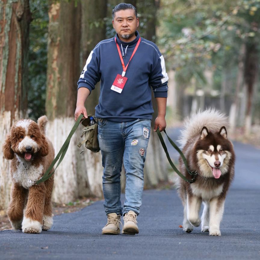 乐山训犬赖得快
