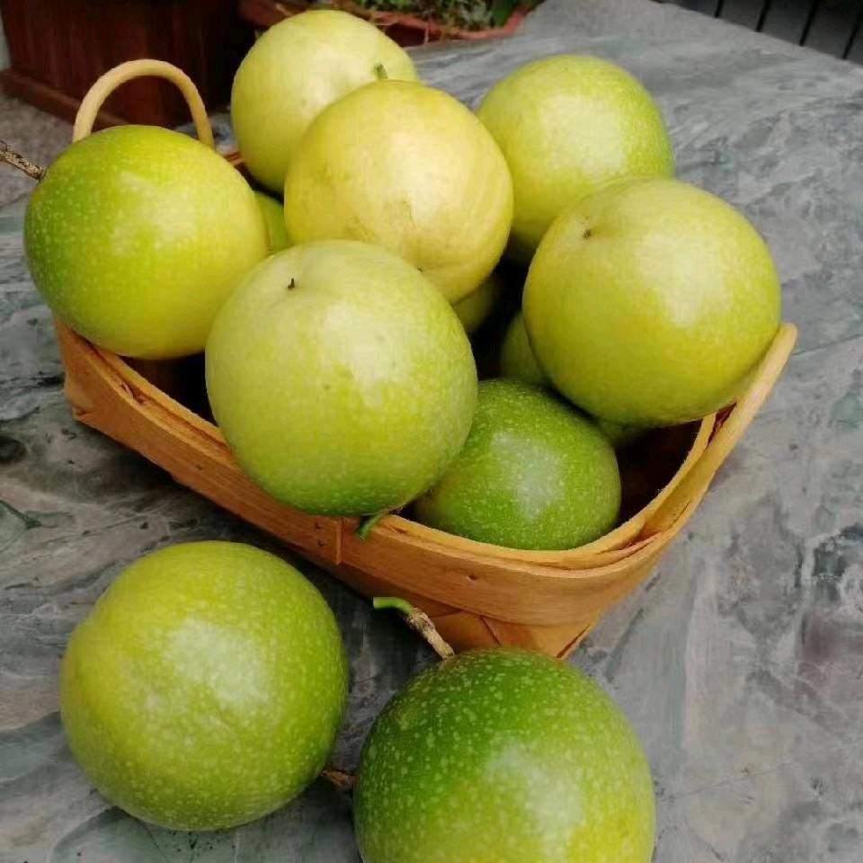 百味百香苗！海南我是第一个种植的！