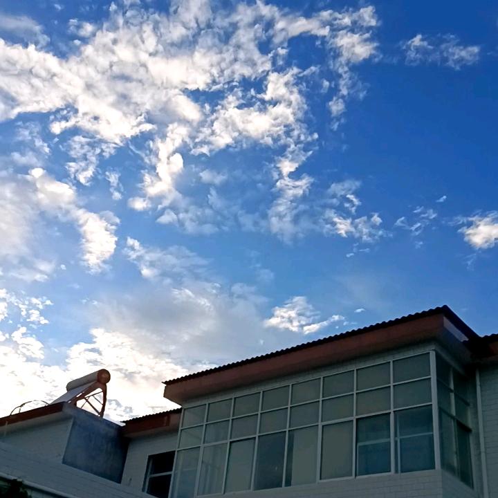 哇哈哈哈哈哈哈