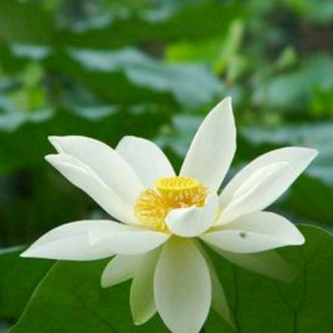 追求梦想（拒绝私聊）