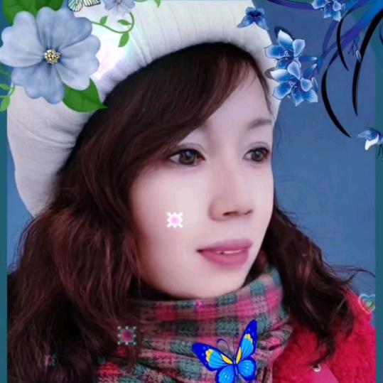 傅家二小姐