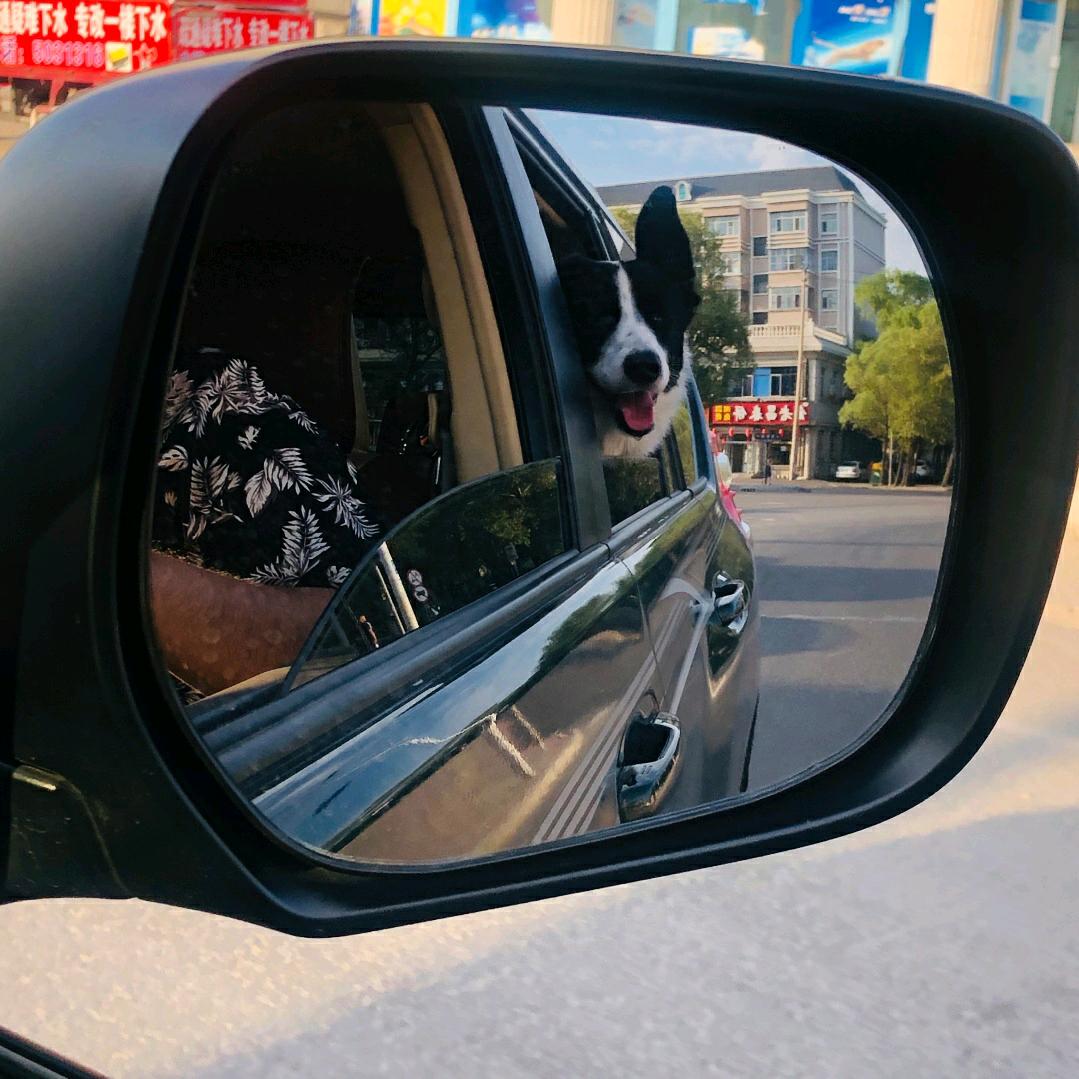 给几给