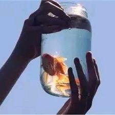 🌂努力就有希望