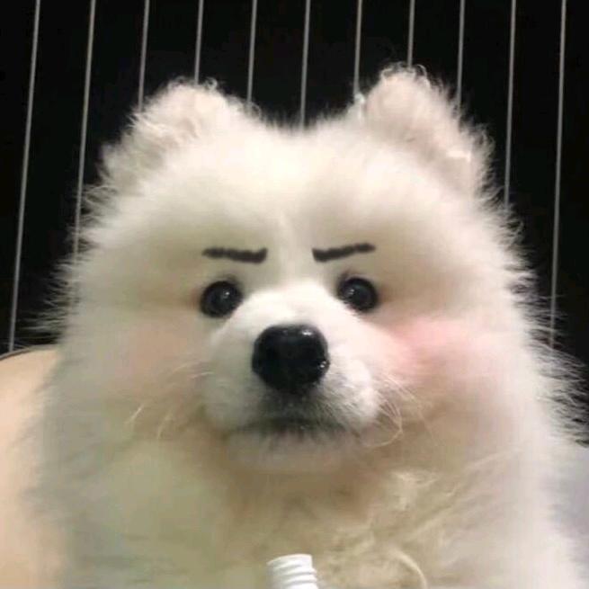 蔓蔓✨