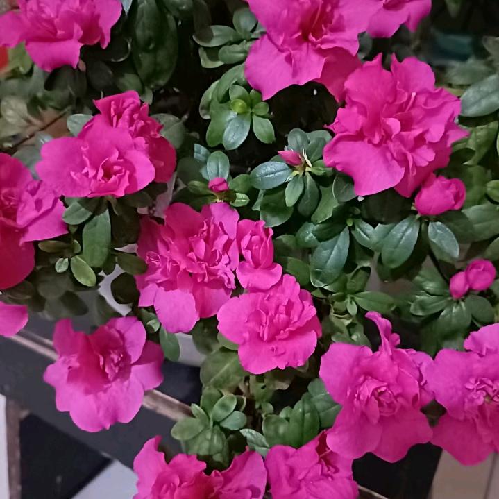 云河牵手