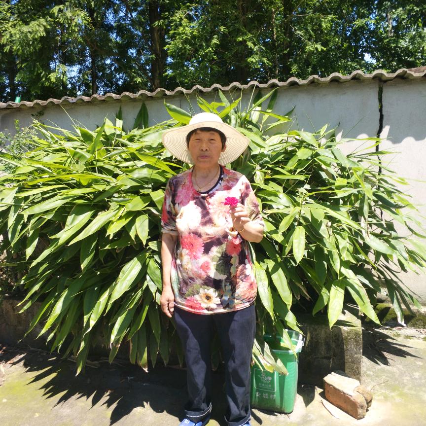一生平安。