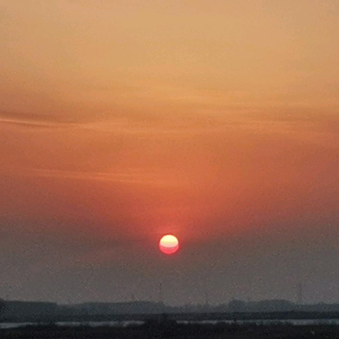雅居