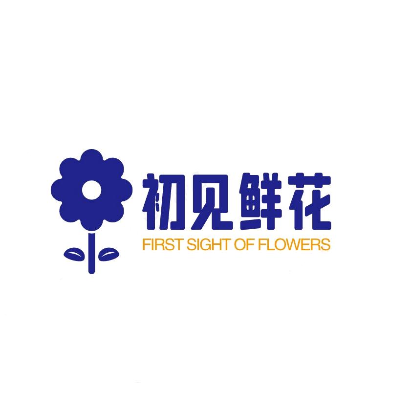 初见鲜花（全国同城配送）
