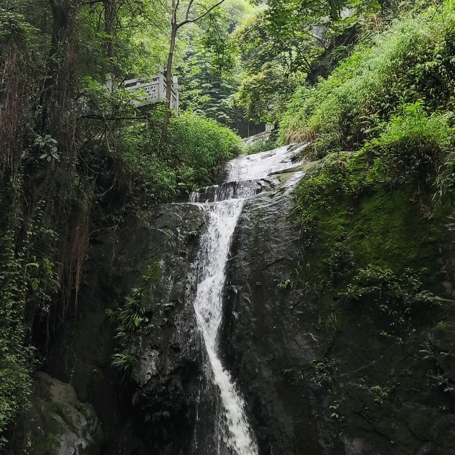 全海燕