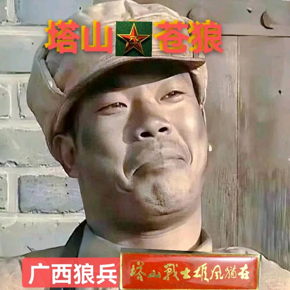 塔山苍狼正能量
