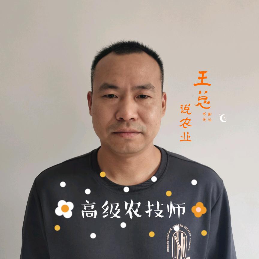 王总说农业