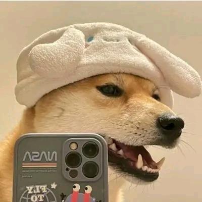 芋头/.