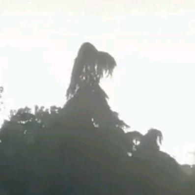 寻她