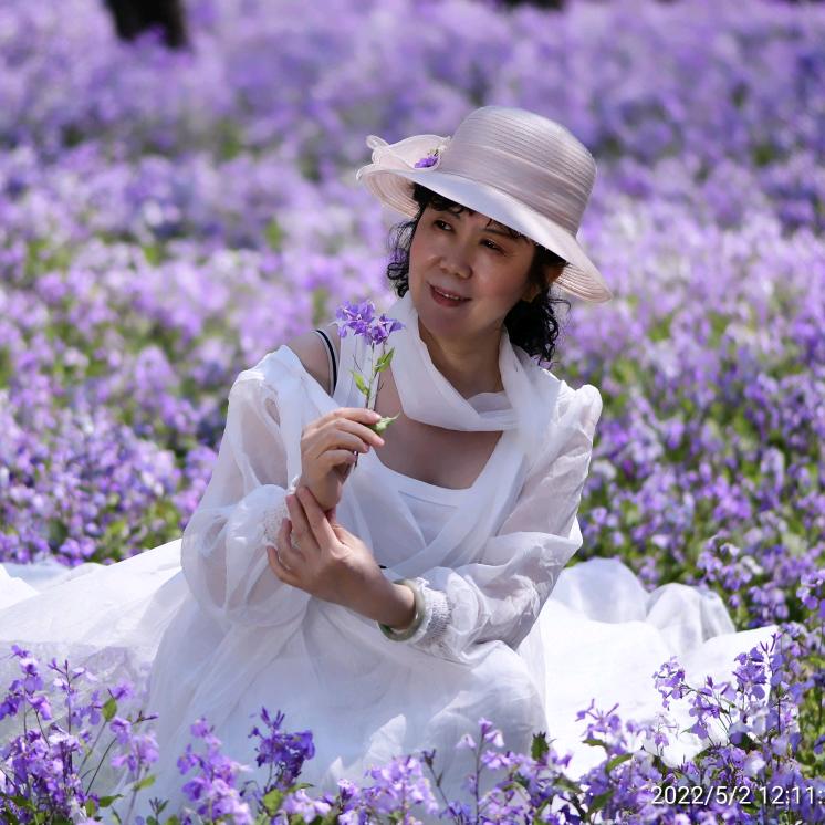 白玫瑰🌹