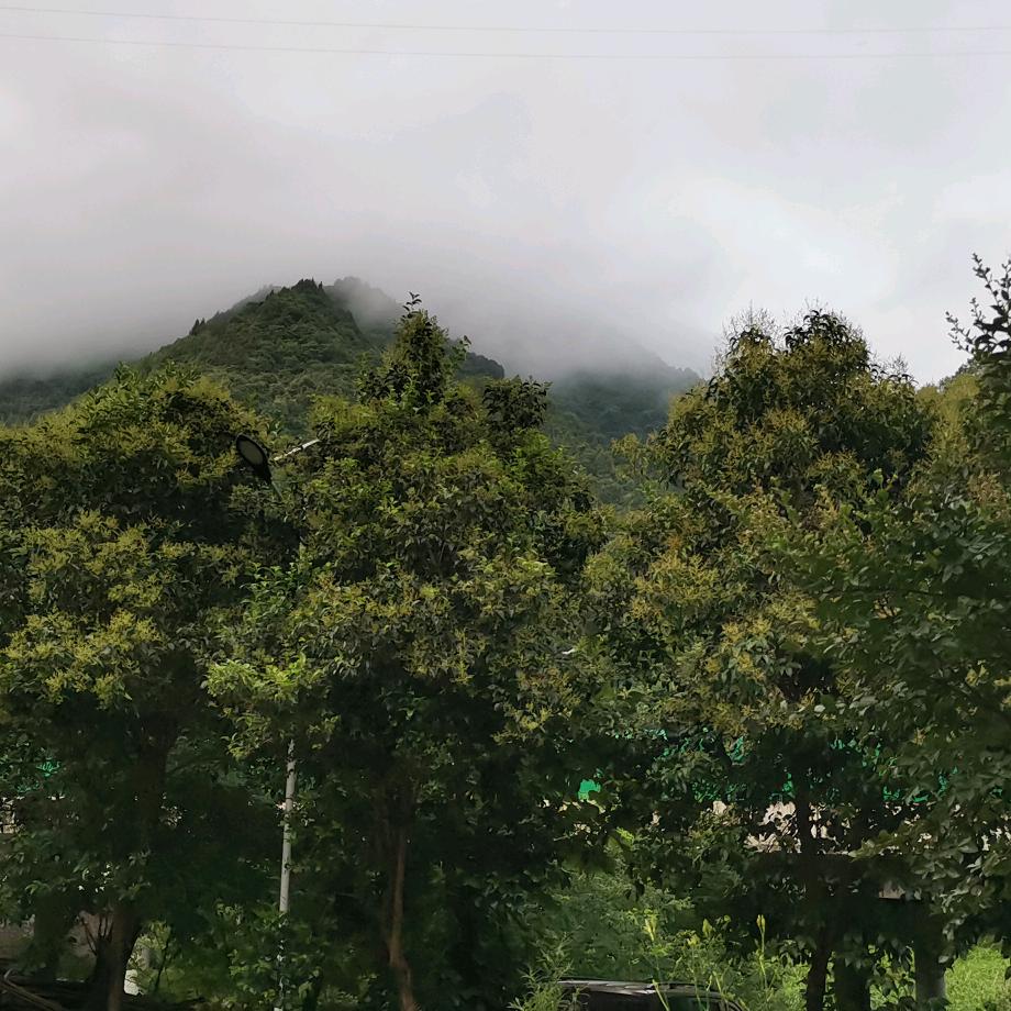 感动心灵
