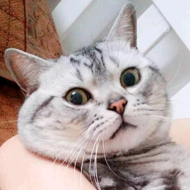老鬼