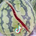 东东