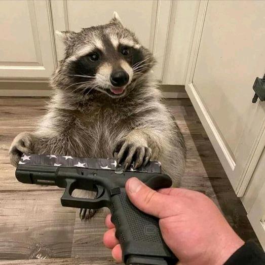 五金小陈的日常