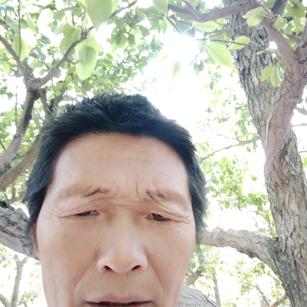一身平安林